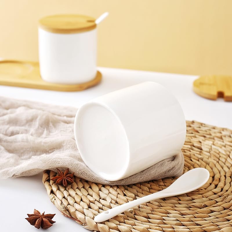 Mush ceramic jars - Stylish condiment container set