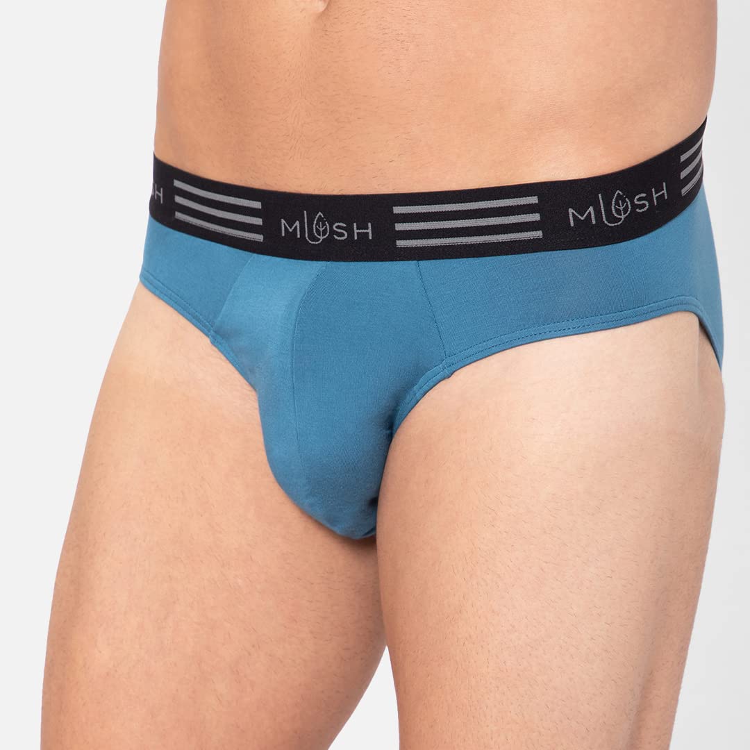 Mush Ultra Soft Bamboo Briefs for Men | Breathable | Anti-Microbial (L, Blue)